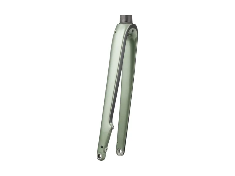 Trek 2025 Domane+ AL 700c Rigid Fork in Lichen Green-1