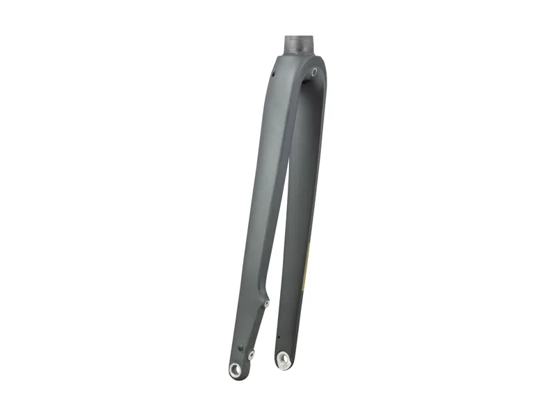 Trek 2025 Domane+ AL 700c Rigid Fork in Lithium Grey-1