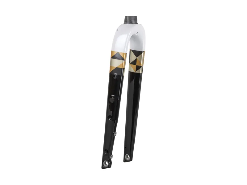 Trek Checkpoint ALR 700c Rigid Fork in Crystal White/Old Style Gold-1