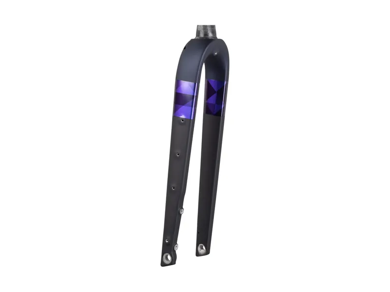 Trek Checkpoint ALR 700c Rigid Fork in Deep Dark Blue/Purple Flip-1