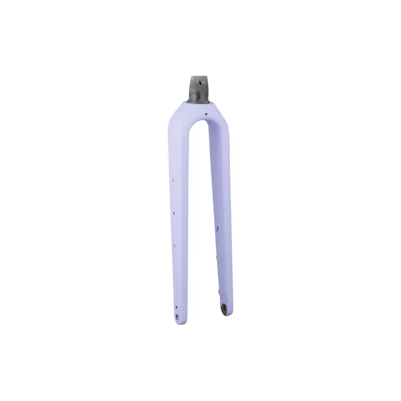 Balfes Bikes Trek Checkpoint ALR Gen 3 700c Rigid Fork in Lavender Haze | Free postage over £30, £10 off first order, price match & 0% finance.