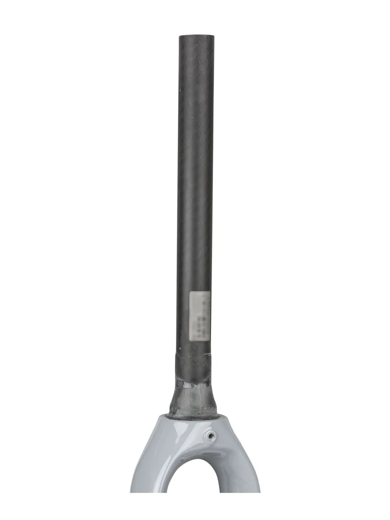 Trek Checkpoint SL 700c Rigid Fork in Gravel-1