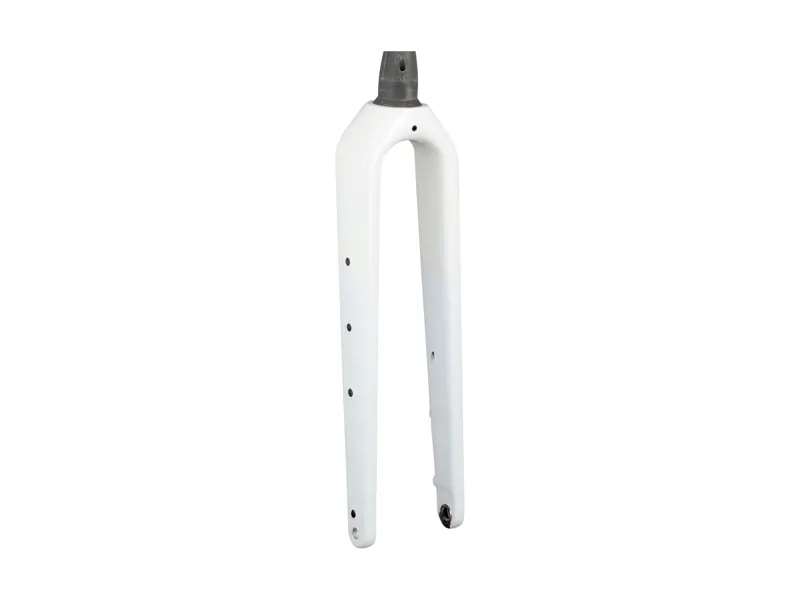 Balfes Bikes Trek Checkpoint SL Gen 3 700c Rigid Fork in White Prismatic | Free postage over £30, £10 off first order, price match & 0% finance.