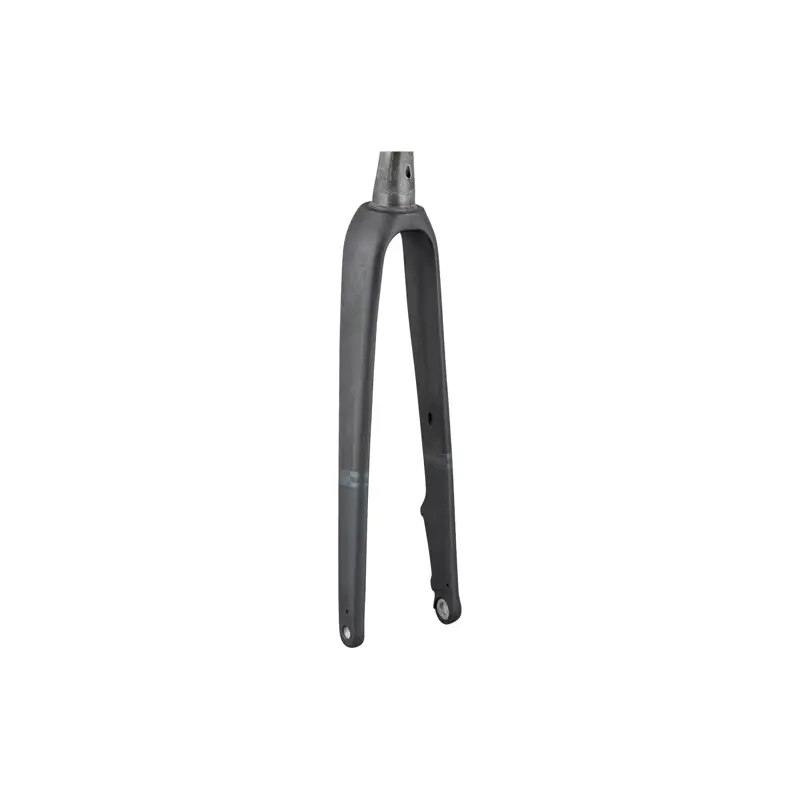 Balfes Bikes Trek Domane AL 2 700c Rigid Fork in Lithium Grey/Carbon Smoke | Free postage over £30, £10 off first order, price match & 0% finance.