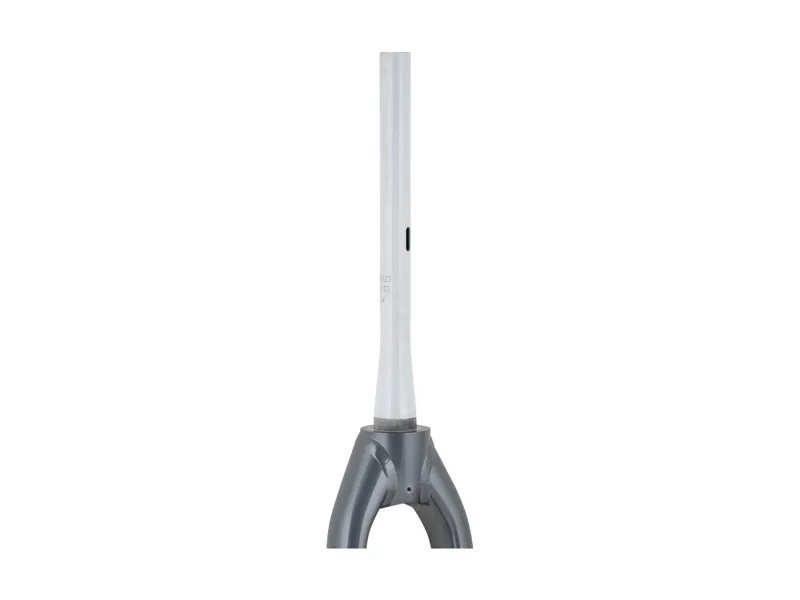 Trek Fetch+ 2 20in Rigid Fork in Galactic Grey-1