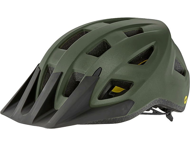 Giant Path MIPS Helmet in Green