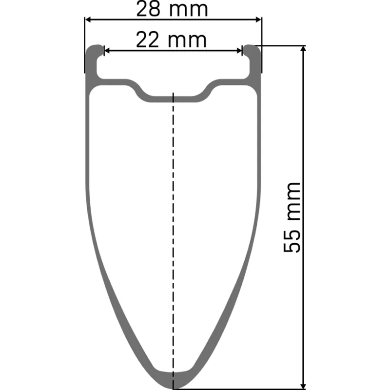 DT Swiss ARC 1400 DICUT 55 mm Clincher Disc Brake 100 x 12 Front Wheel in Black-1