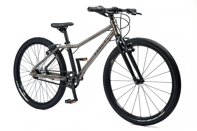 Rascal 24 inch Wheel Kids Bike 2021 in Titanium-1