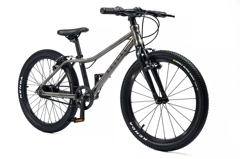 Rascal 20 inch Wheel Kids Bike 2021 in Titanium-1