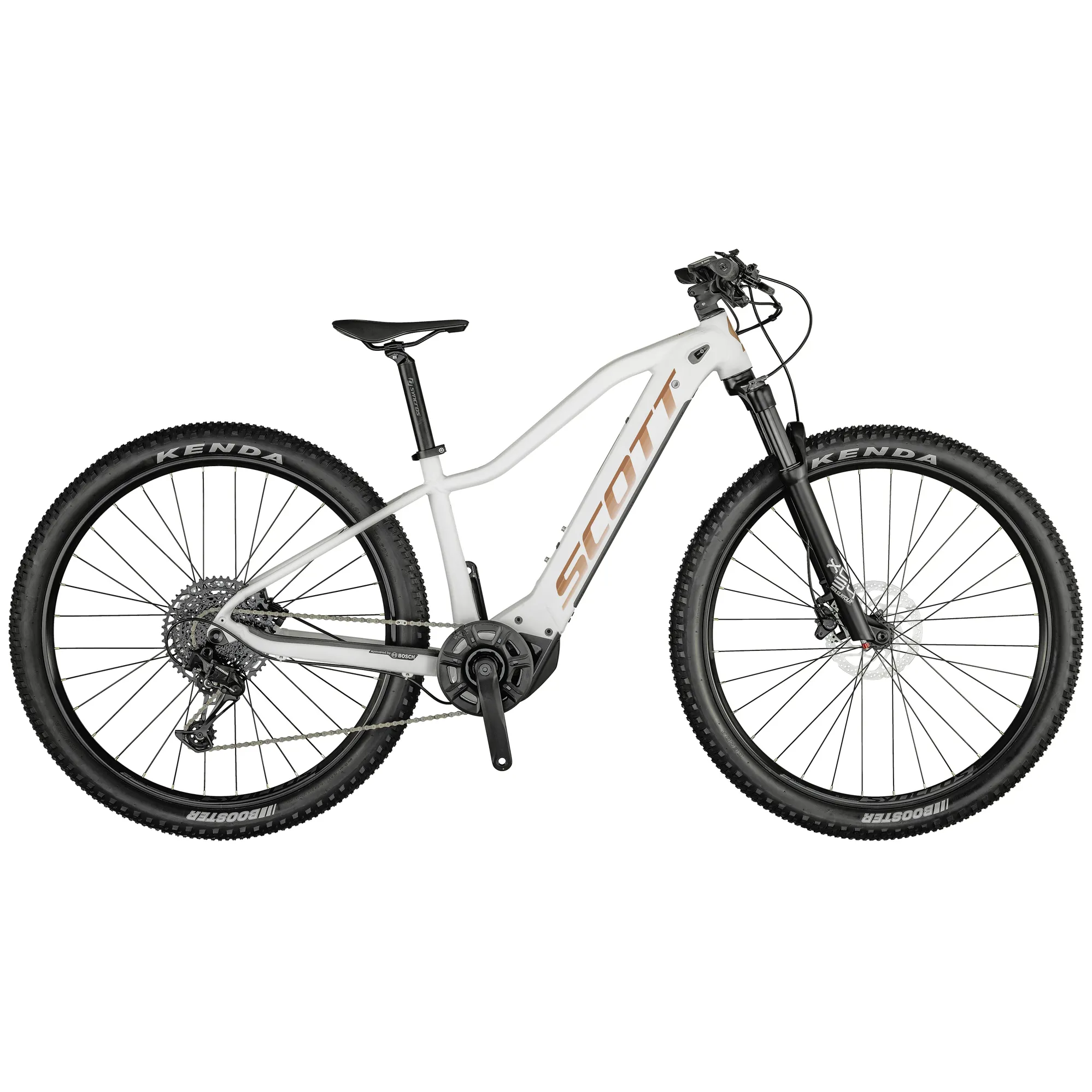 Cross Country Mtb Muscoli Coinvolti Mtb Bottecchia Ortles