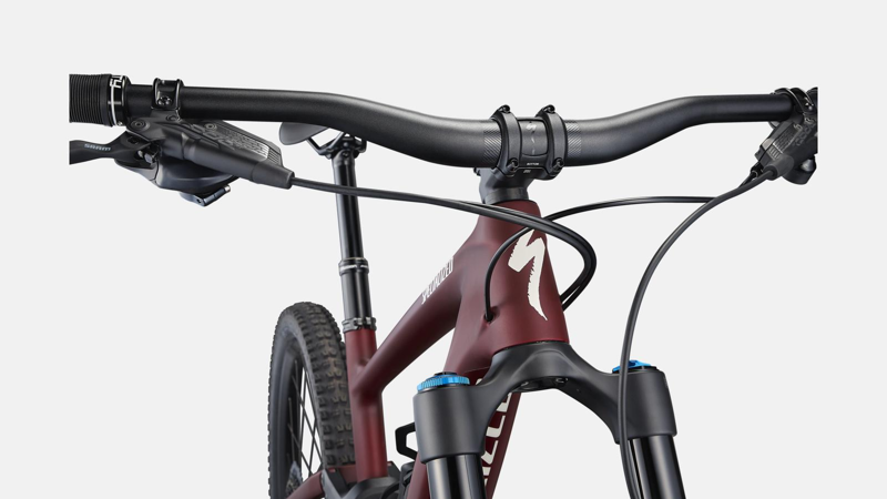 Specialized Enduro Expert Mountain Bike 2023 in Brown-2