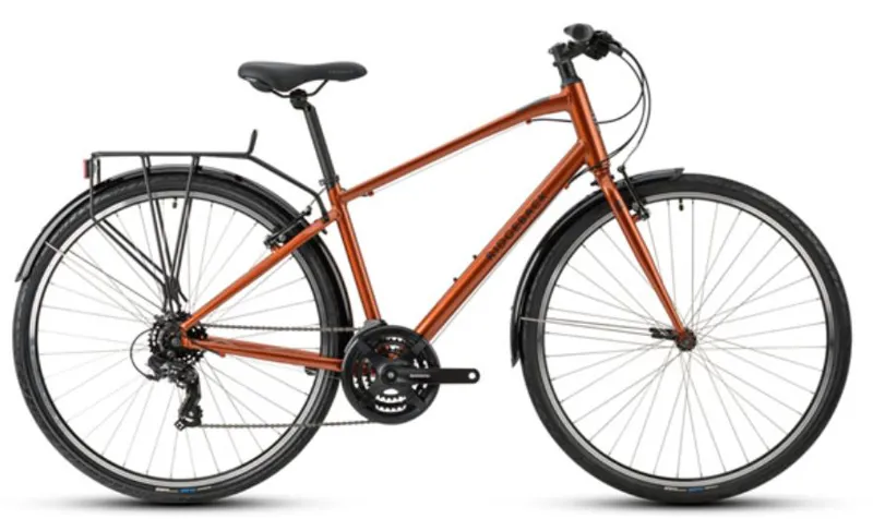 EX DISPLAY Ridgeback Speed Hybrid Bike Medium 2022 in Metallic Bronze 