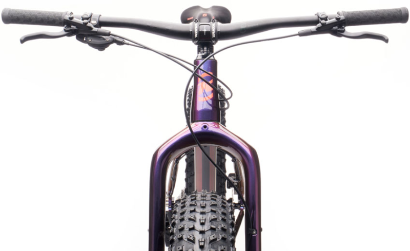 Kona Woo 26 inch Fatbike Mountain Bike 2021 in Gloss Prism Purple-3