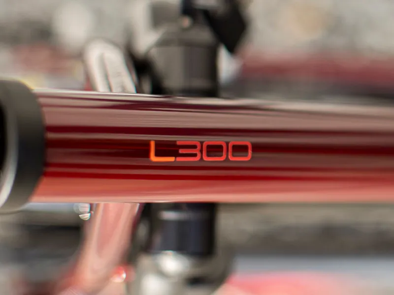 Trek L300 Lowstep Hybrid Bike 2020 in Red-8