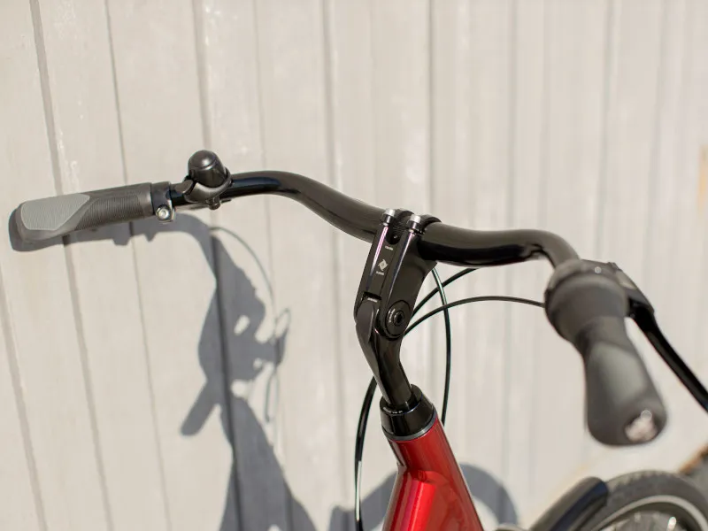 Trek L300 Lowstep Hybrid Bike 2020 in Red-9