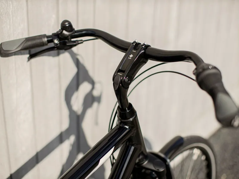 Trek L300 Hybrid Bike 2021 in Black-3