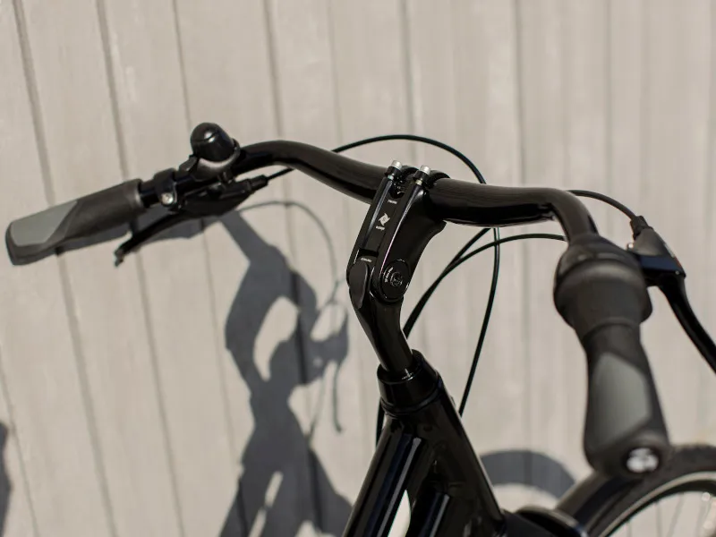 Trek L300 Midstep Hybrid Bike 2020 in Black-3