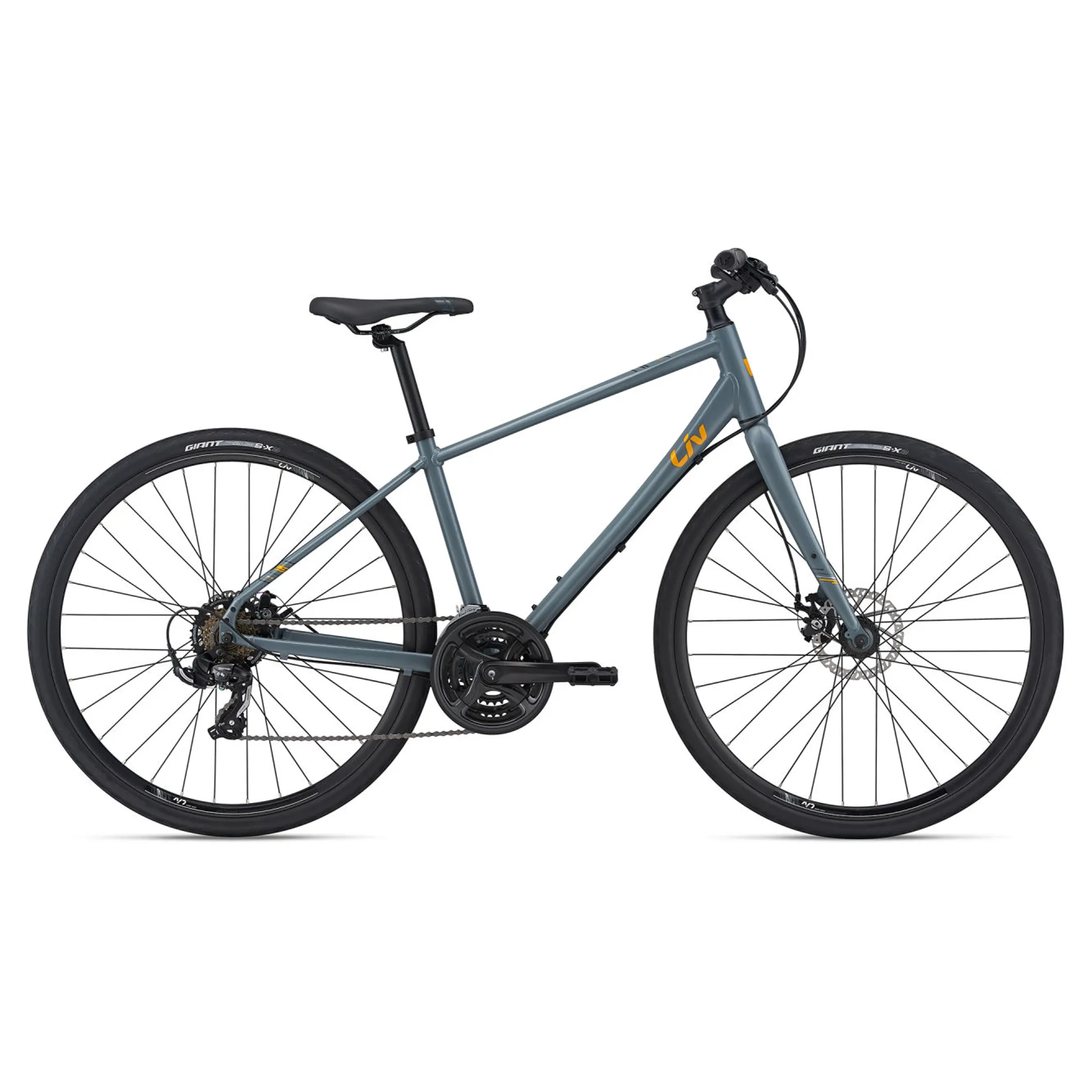 Liv Alight Disc Womens Hybrid Bike 2021 in Grey