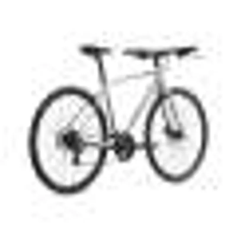 Giant Escape 2 Disc Hybrid Bike 2022 in Grey-1