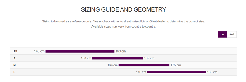 Liv Rove 4 DD Hybrid Bike 2023 in Blue Ashes-1