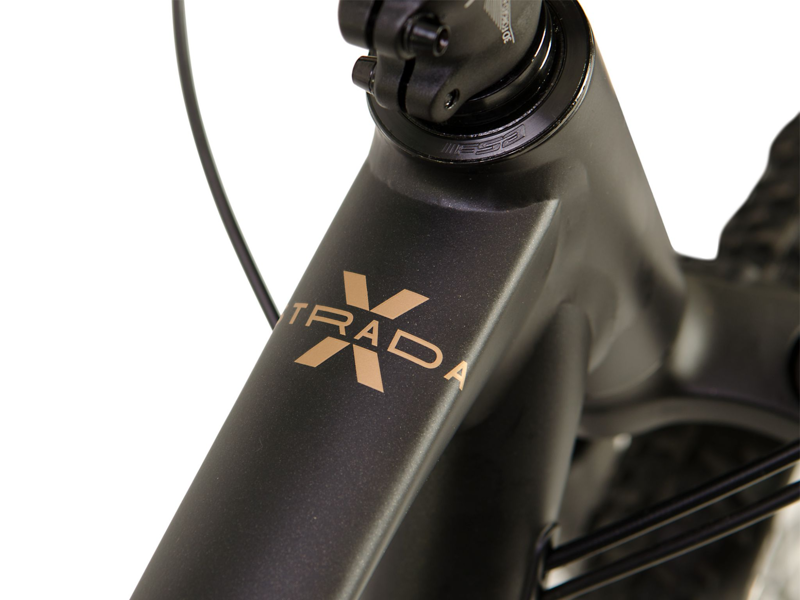 Raleigh Strada X 650b Mountain Bike 2023 in Yellow-1