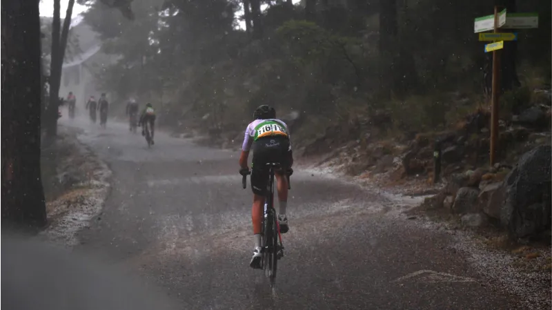 BMC Teammachine SLR02 Three Mens Road Bike in Grey and Candy Green-6