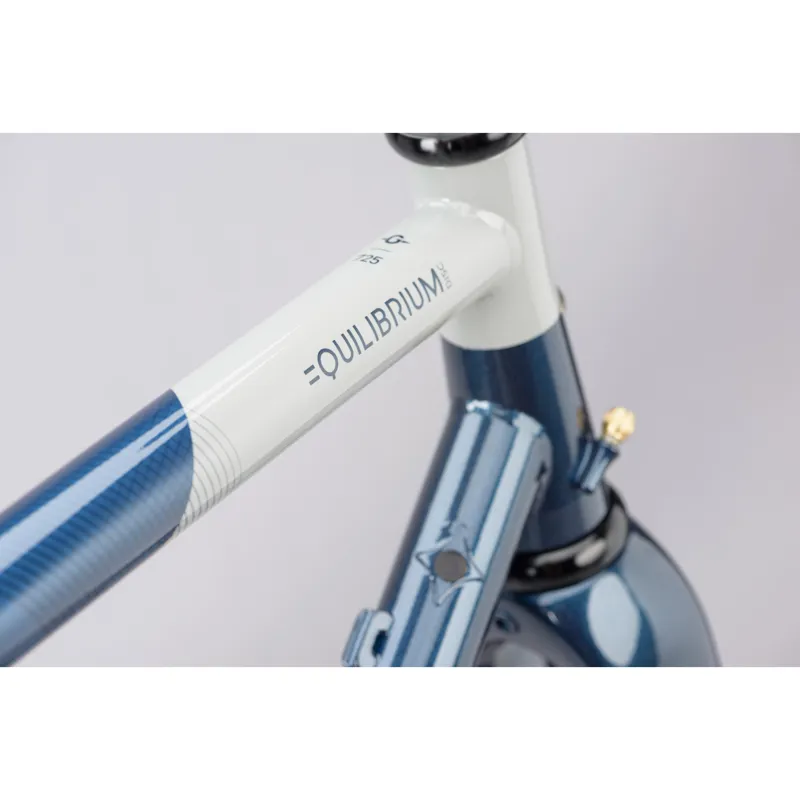 Genesis Equilibrium Disc Road Bike Frameset 2021 in Blue-2