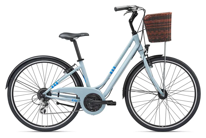Liv Flourish 2 Womens Hybrid Bike 2020 in Cold Gray