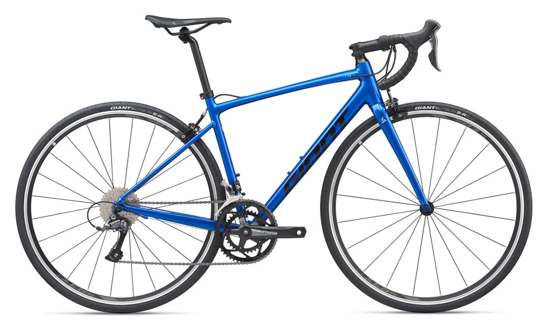 my20contend2_colora.jpg?width= 