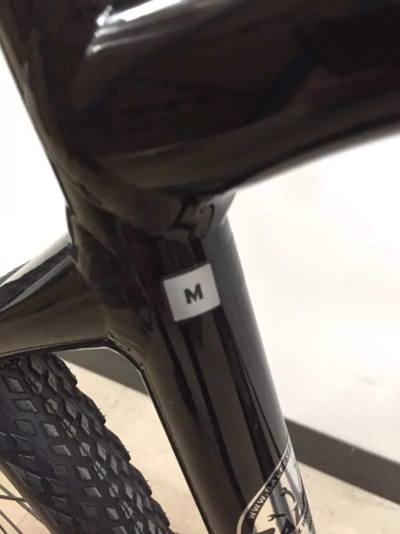 EX-DISPLAY Giant Roam E+ Electric Hybrid Bike Medium 2021 in Black -2
