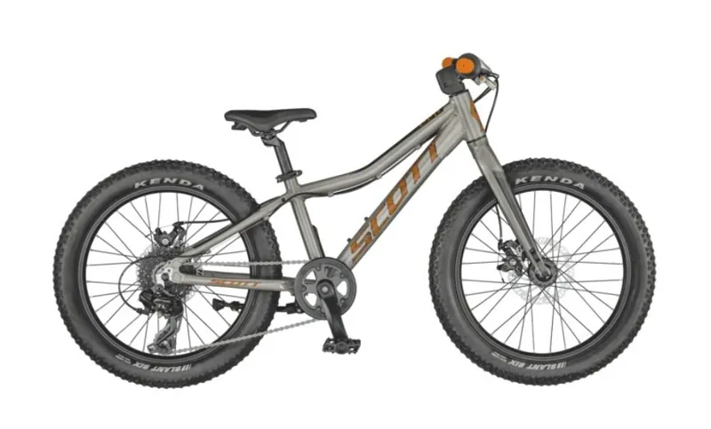Scott Roxter 20 inch Kids Mountain Bike 2022 in Raw Alloy