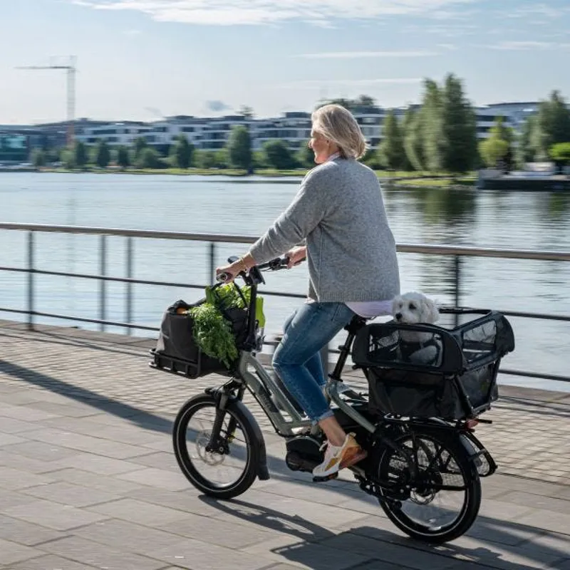 Tern Dog Roof Mini in Black -1