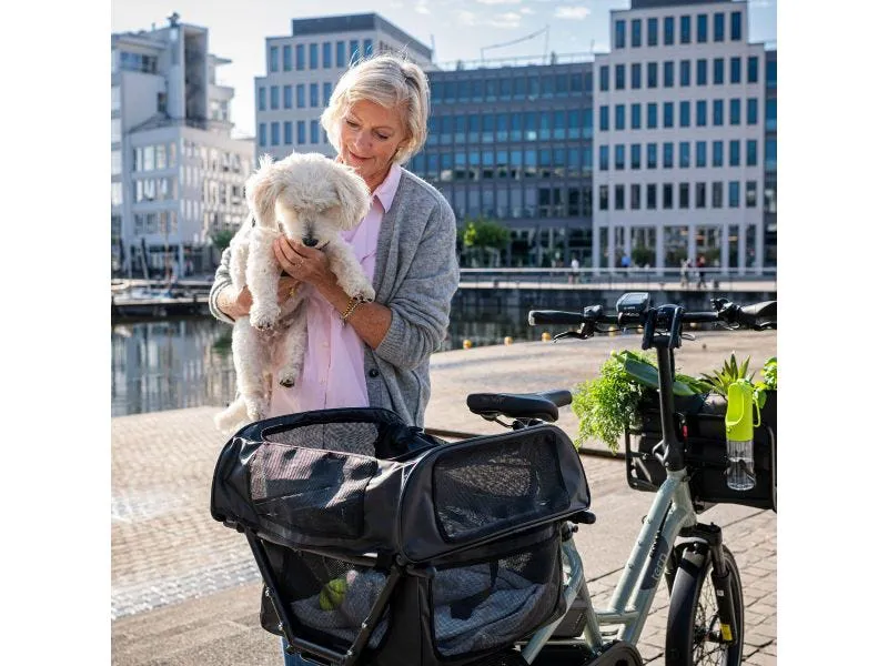 Tern Dog Roof Mini in Black 