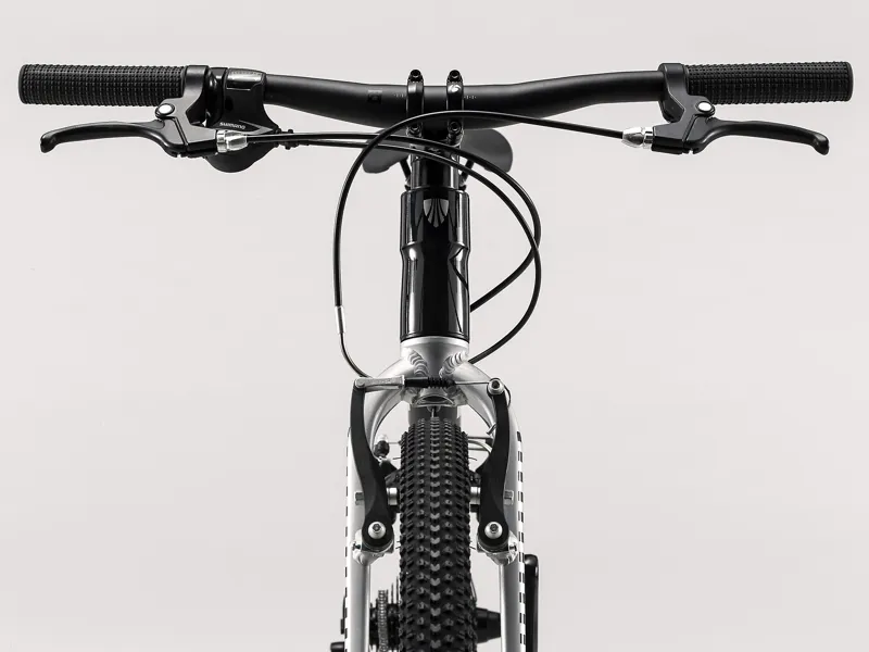 Trek Wahoo 24 inch Wheel Kids Bike in Black-1