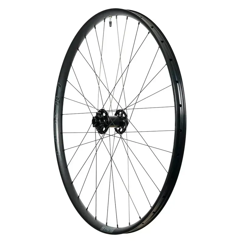 Stans Arch MK4 29 Front Wheel 15x110-1
