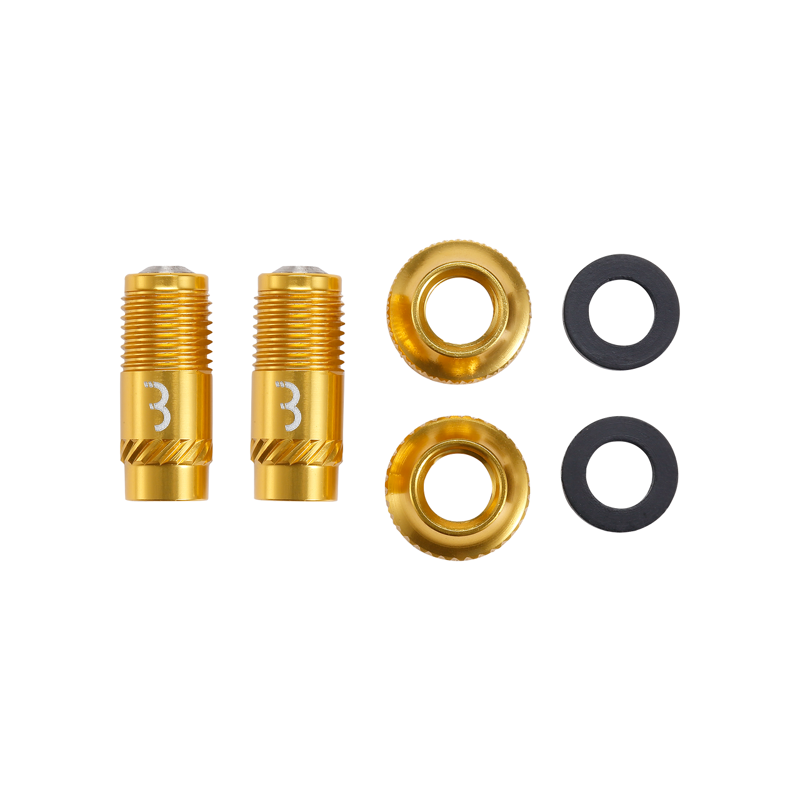 BBB BTI-165 CoreCaps Valve Caps 2pcs in Gold-1
