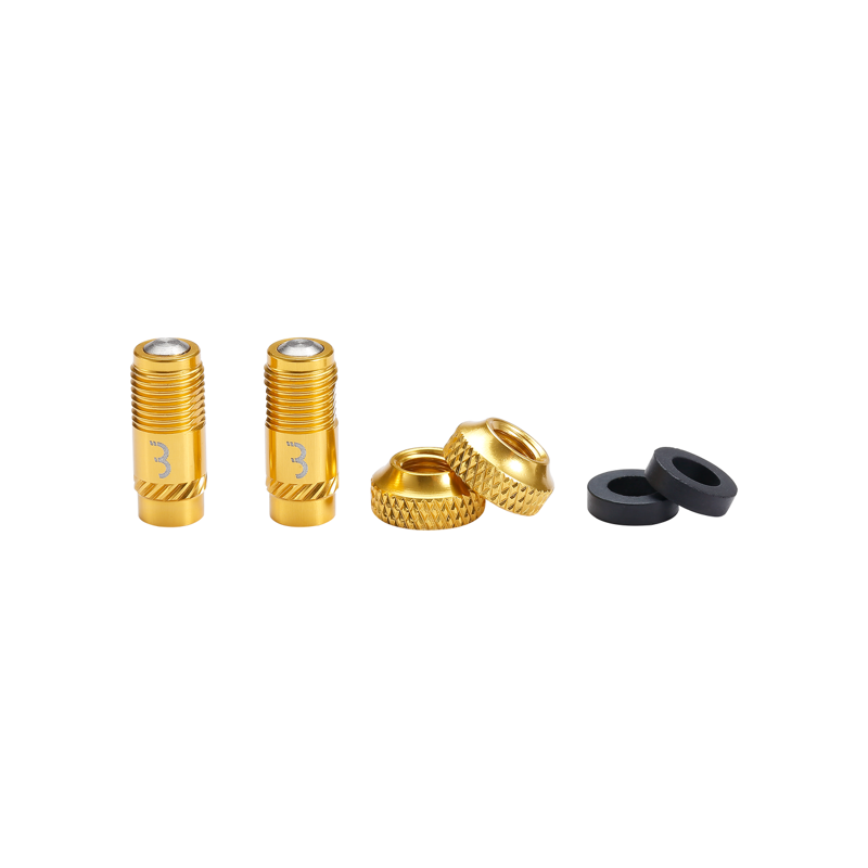 BBB BTI-165 CoreCaps Valve Caps 2pcs in Gold