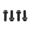 Wolf Tooth 4-piece Water Bottle Cage Bolts in Black