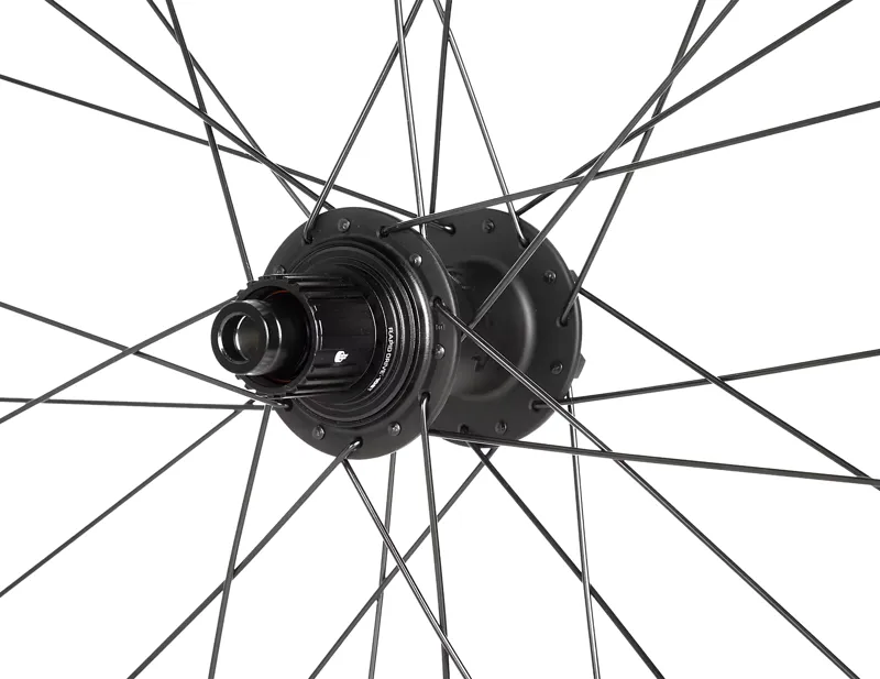 Bontrager Line Comp 30 29 Rear Wheel in Black-1