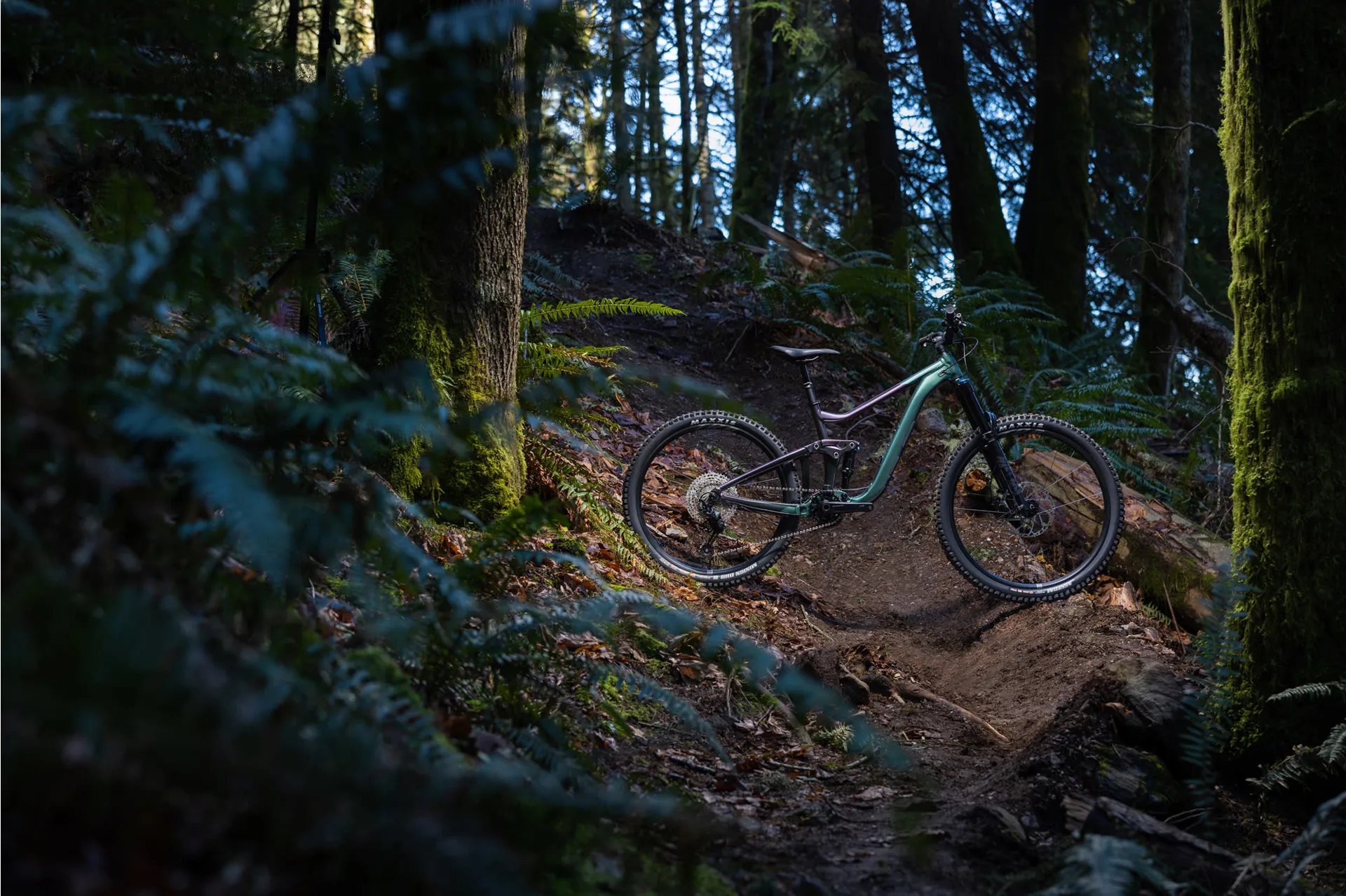 Giant Reign Full Suspension Mountain Bike 2026 in Mineral Green