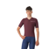 Castelli Premio Evo Short Sleeve Jersey in Deep Bordeaux