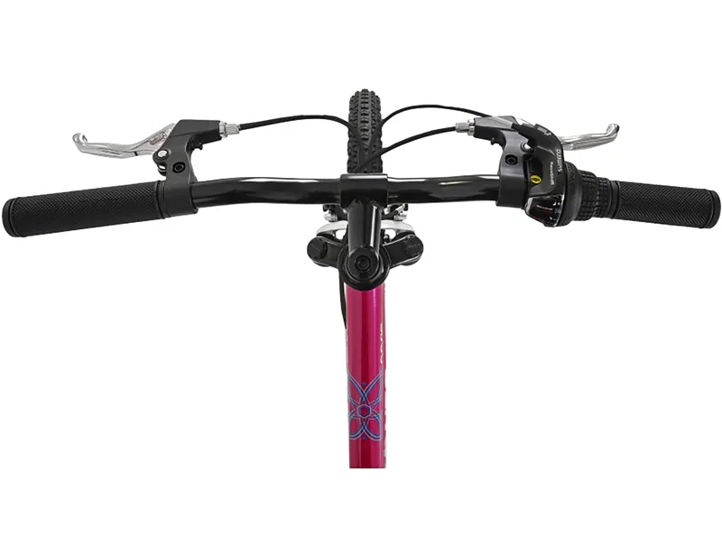 Dawes 20 inch wheel Paris HT Kids Mountain Bike 2027 in Bright Pink-7