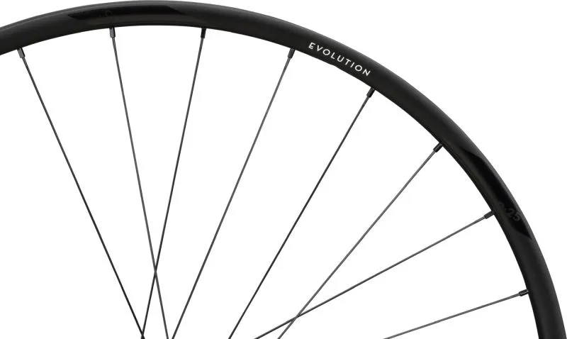 NEWMEN REAR WHEEL EVOLUTION SL X.R.25 29 28H FADE R CL 12X142-2