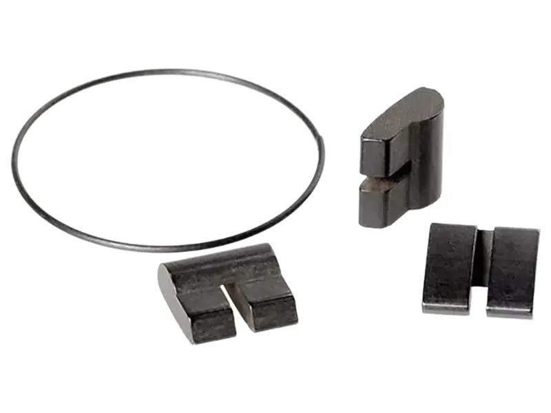 DMR 3 Pawls and Springs for Short Block for 6 spd Cassette Hub