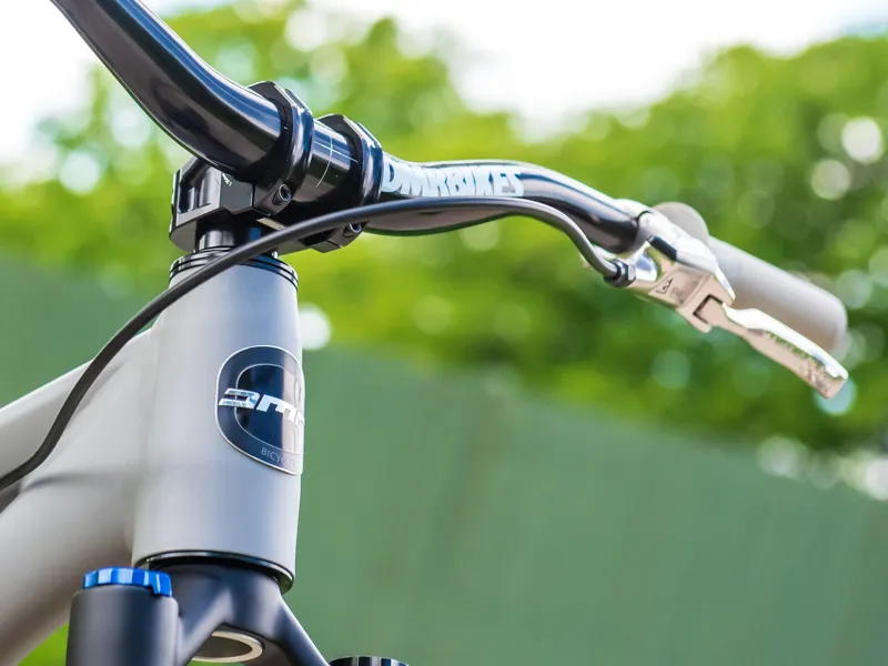 DMR Frame Head Badge in Black-2