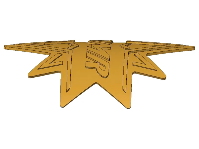 DMR star Head Badge-4