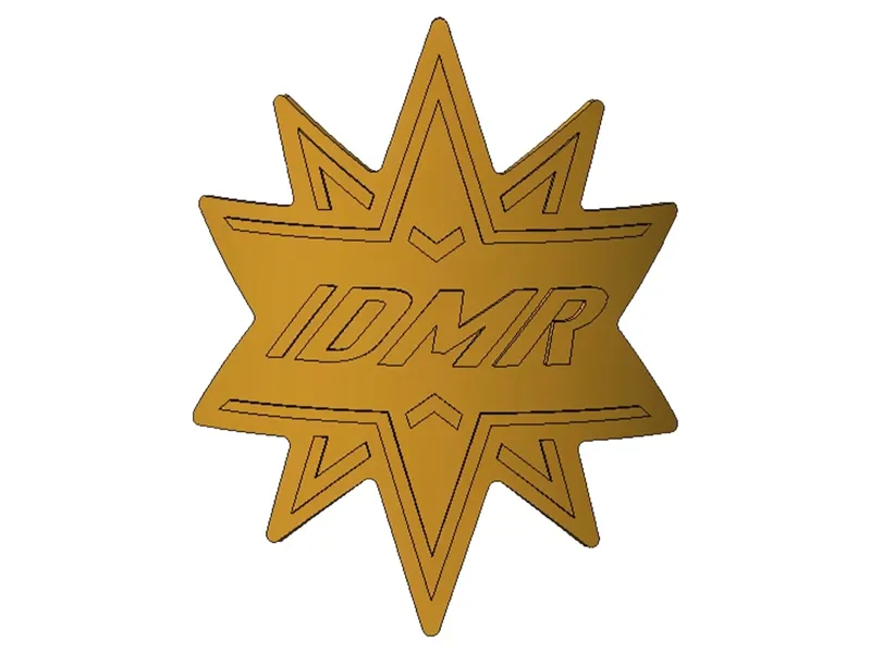 DMR star Head Badge-2