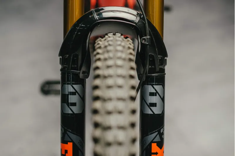 Dyedbro Fork Protector in Clear Gloss-10