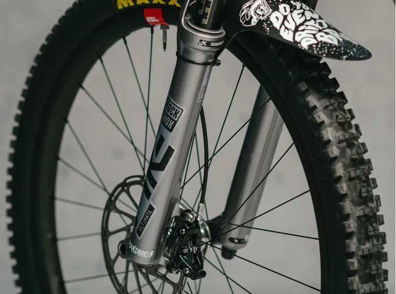 Dyedbro Fork Protector in Clear Gloss-5