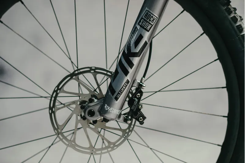 Dyedbro Fork Protector in Clear Gloss-7